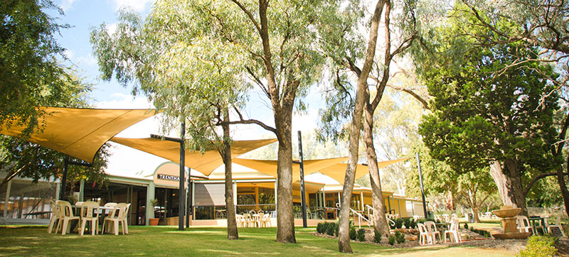 trentham gum trees and grassed area