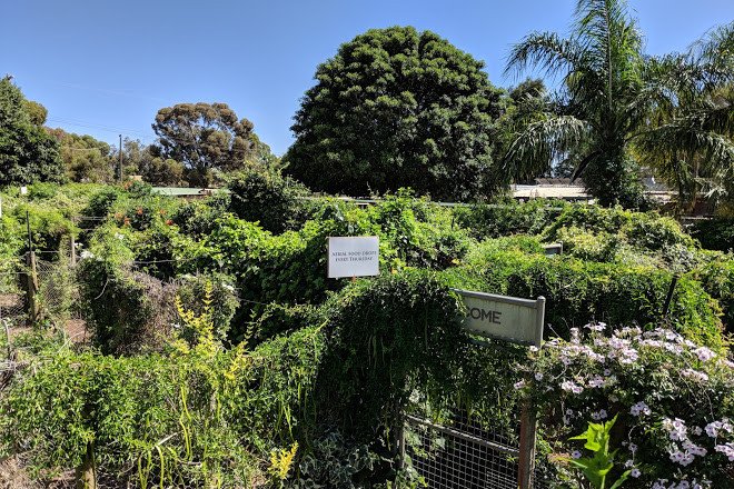 garden maze in mildura